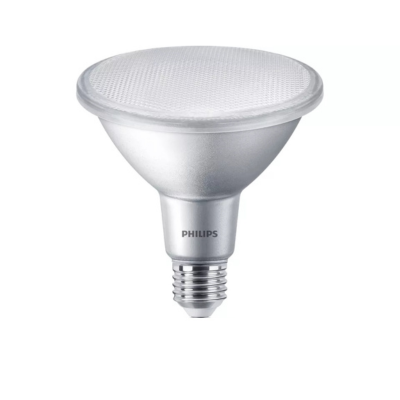 LED PAR38 LED PAR38