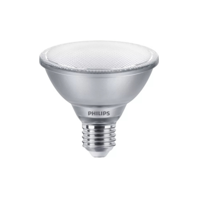 LED PAR30 PAR30_LED