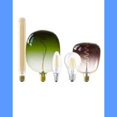 LED Decorative Light Bulbs