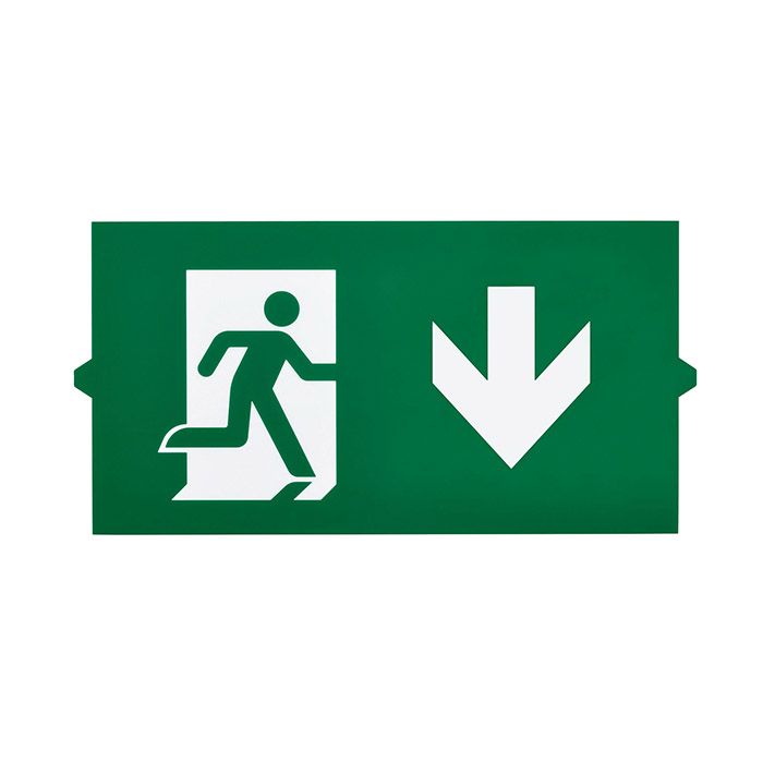 Signify Ecolink Emergency Exit Down Legend Sign
