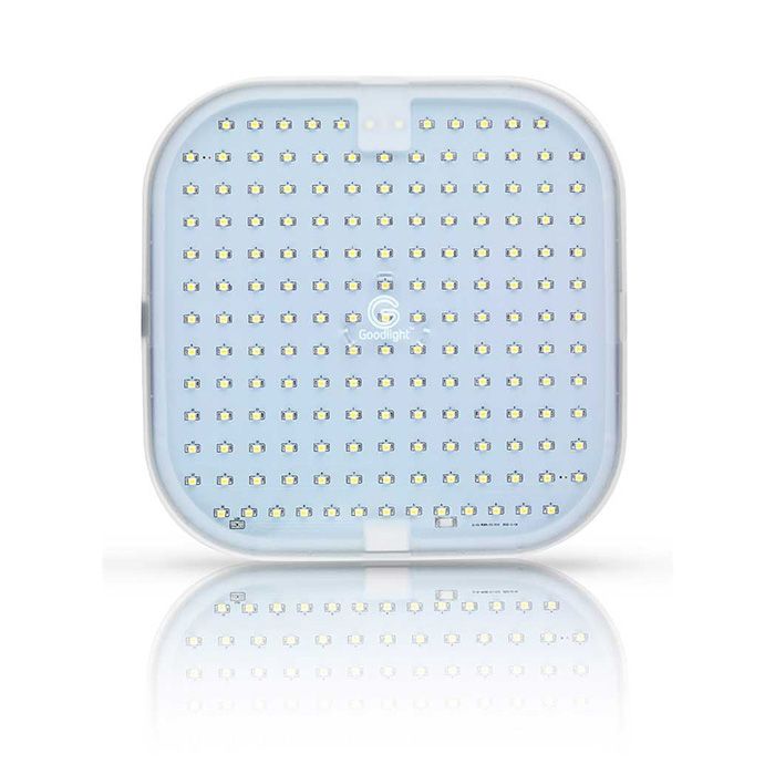 Goodlight 12W 2D 4-Pin 5000K Lamp