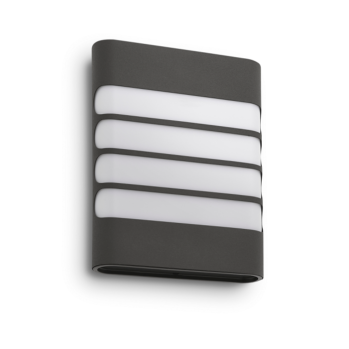 Philips Raccoon Anthracite Outdoor Wall Lantern