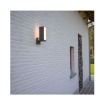 LUTEC Cuba Smart Tunable White Wall Light with Motion Sensor