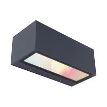LUTEC Gemini Smart Colour Changing up/down Wall Light