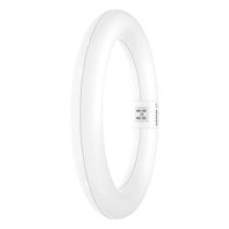 ledvance-11w-22w-t9-led-em-circular-tube-3000k