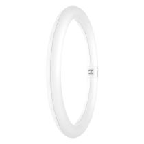 ledvance-18w-32w-t9-led-em-circular-tube-6500k