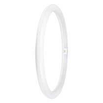 ledvance-24w-40w-t9-led-em-circular-tube-6500k