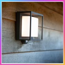 LUTEC Curtis  Solar PIR Wall Light