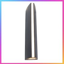 LUTEC Leo LED Grey Outdoor Wall Light