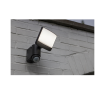 Lutec Sunshine LED Solar Wall Light with Motion Sensor