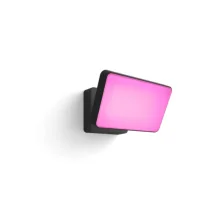Philips Hue Discover Outdoor Floodlight | Smart RGBW | IP44