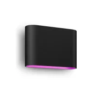 Philips Hue Dymera Indoor/Outdoor Wall Light | Smart RGBW | Black