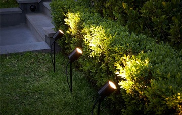 Garden Spike Lights
